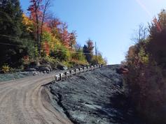Terrain commercials