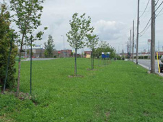 Terrain commercials