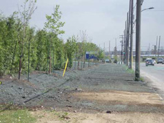 Terrain commercials
